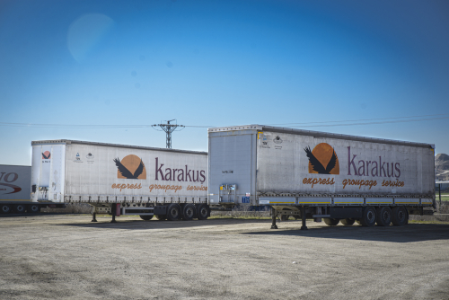 karakus-146