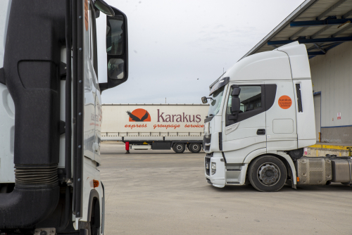 karakus-50